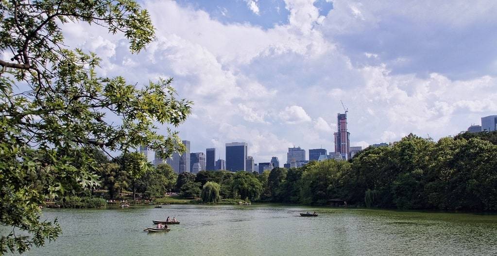 Balade matinale à Central Park